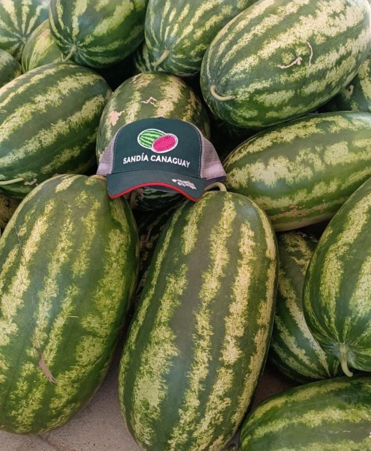 Sandías Agroinducol